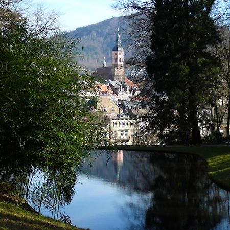 Ferienwohnung Am Krippenhof Baden-Baden Eksteriør bilde