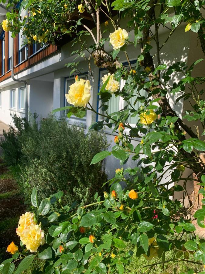 Ferienwohnung Am Krippenhof Baden-Baden Eksteriør bilde