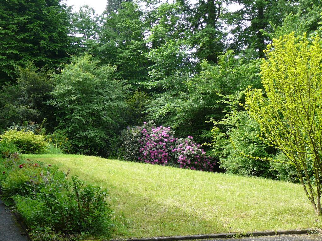 Ferienwohnung Am Krippenhof Baden-Baden Eksteriør bilde