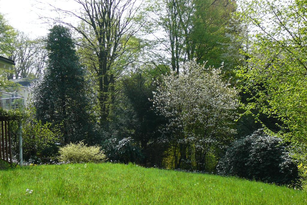 Ferienwohnung Am Krippenhof Baden-Baden Rom bilde